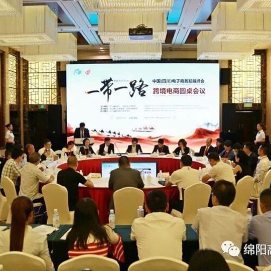 一带一路跨境电商圆桌会议